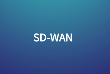 向SD-WAN 2.0的演進