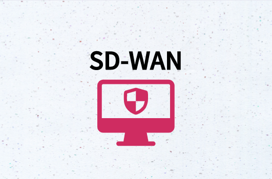 提高安全性的SD-WAN