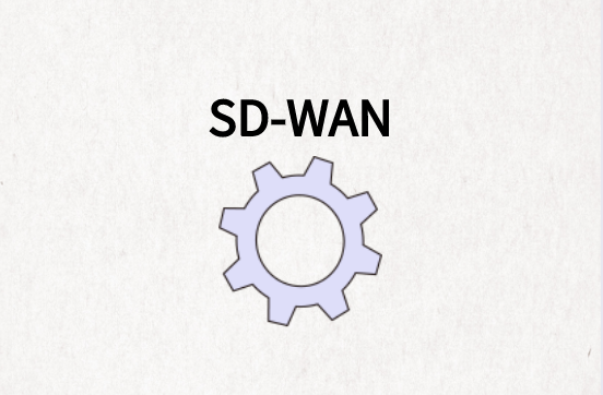 SD-WAN用例