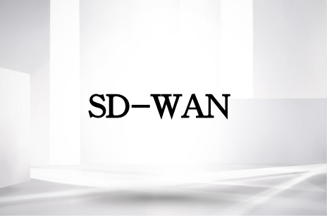 SDWAN 5G結合實現什么?