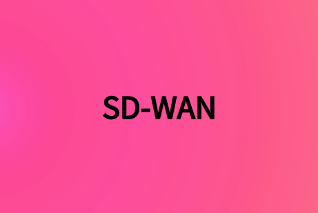 sdwan組網方式