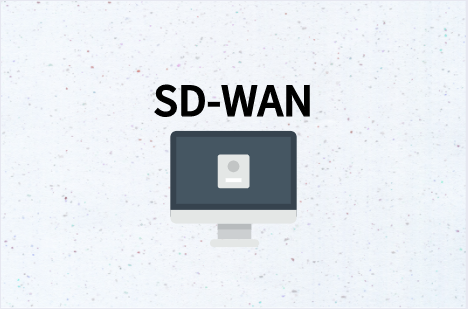 SD-WAN傳統架構