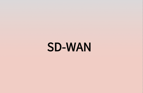 對企業而言，SD-WAN意味著什么?