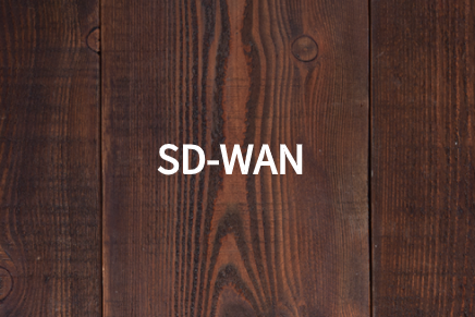 SD-WAN如何優化應用交付?