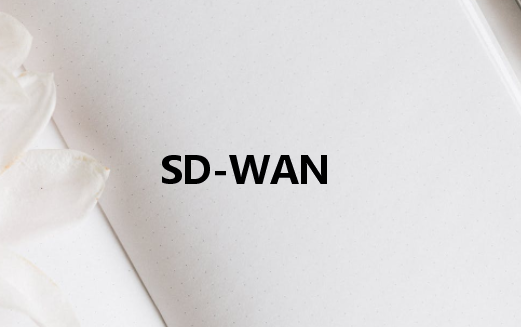 專用網絡SD-WAN