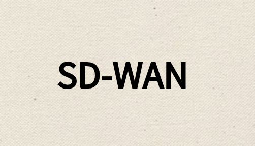 為什么需要對SD-WAN網絡進行細分?