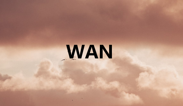 廣域網(WAN)如何工作?