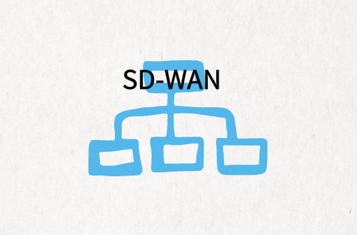 國內企業SD-WAN組網