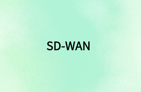 SD-WAN 與遠程用戶