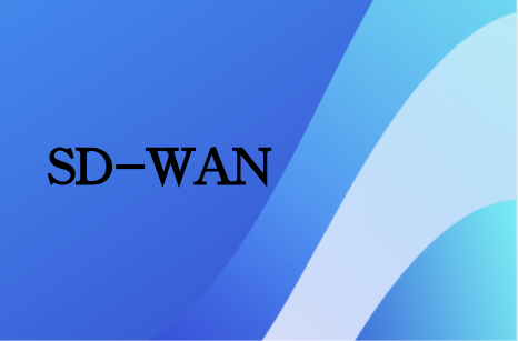 廣域網SD-WAN轉型建設