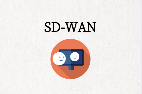 SD-WAN冗余與冗余