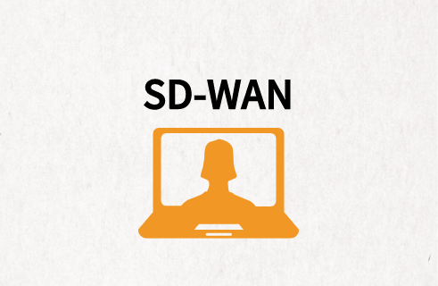 SD-WAN與異地組網
