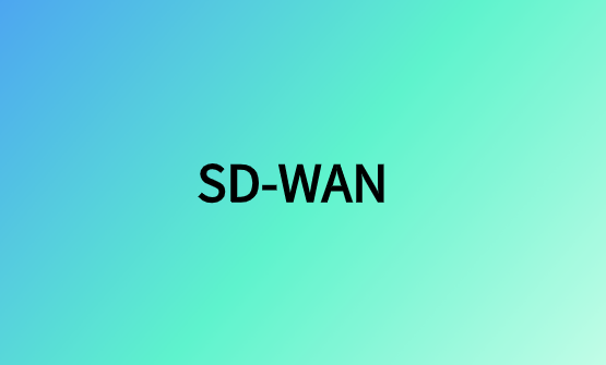 SD-WAN：企業級網絡組網解決方案